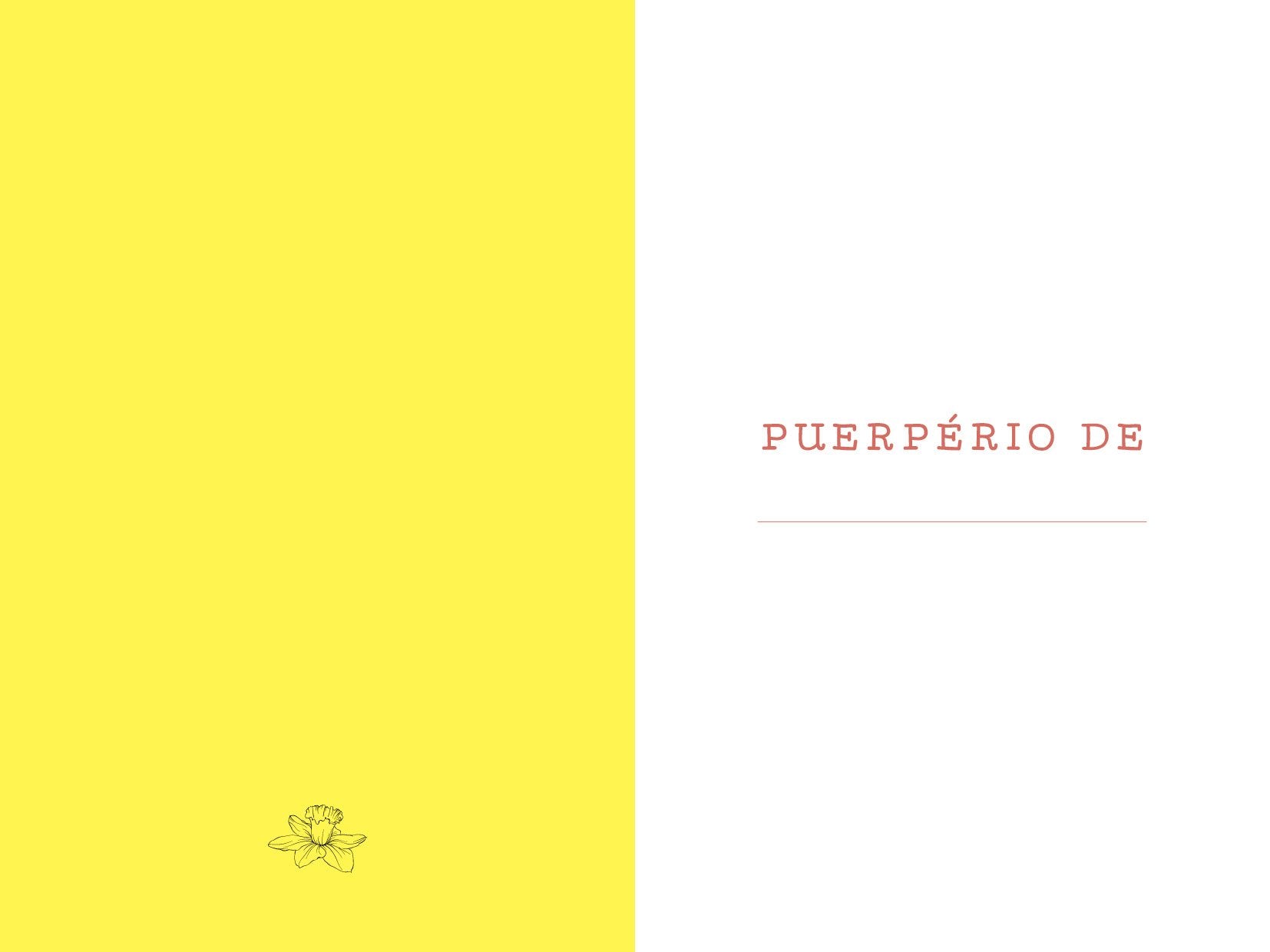 ABRA ESTE LIVRO NO SEU PUERPÉRIO
